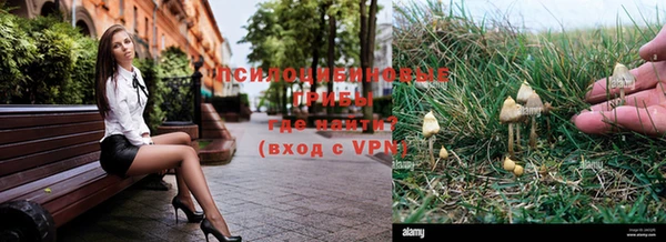индика Верхнеуральск