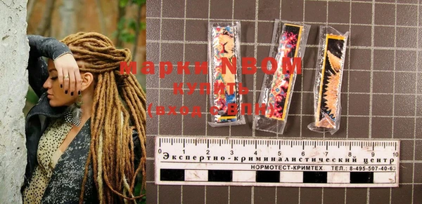 индика Верхнеуральск