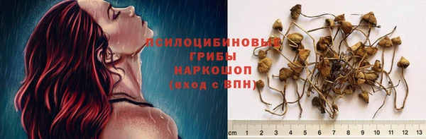 спиды Верхний Тагил